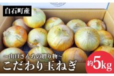 【先行予約】農家直送！こだわり 玉ねぎ 約5kg～山口さんちの贈り物～【y'scompany】佐賀県産晩生 玉葱 タマネギ たまねぎ 人気 高評価 九州 佐賀県 白石町 [IAS011]