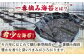 あなたのお気に入りは？ 一番摘み海苔 食べ比べセット♪