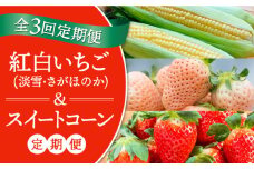【先行予約】【全3回定期】紅白いちご（淡雪・さがほのか）とスイートコーンの定期便 [IZZ016]
