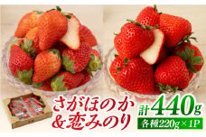 【先行予約】食べ比べ！恋みのり＆さがほのか 各220g 赤いちご 詰め合わせ セット【鐘ヶ江農園】 [IBH007]