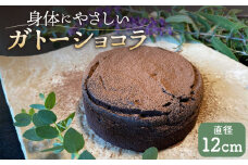 【身体にやさしい】卵・乳・小麦粉不使用！ ガトーショコラ【川﨑味噌麹屋】 [ICR001]