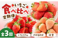 【先行予約】【全3回】いちご 3品種 食べ比べ 定期便【岸川農園】 九州 佐賀県 白石町 [IAP022]