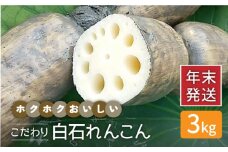 【年末発送】【先行予約】 れんこん（泥付き） 3kg 【れんこんの家やました】/農家直送 レンコン 蓮根 佐賀県産 白石町産 野菜 根菜 高品質 九州 佐賀県 白石町 [IAW003]