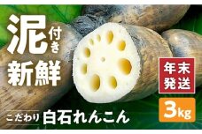 【年末発送】【先行予約】 れんこん（泥付き） 3kg 【れんこんの家やました】/農家直送 レンコン 蓮根 佐賀県産 白石町産 野菜 根菜 高品質 九州 佐賀県 白石町 [IAW003]