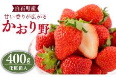 【農家直送】かおり野 400g（化粧箱入り）/いちご 苺 イチゴ 白石産 佐賀産いちご 良い香り かおりの【StrawberryFarm-K】 [IBJ005]