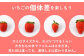 口に広がる甘い香り！老若男女問わず好きないちごを贈り物に♪