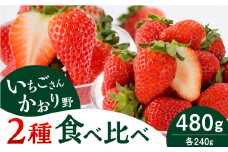 【農家直送】赤いちご 食べ比べ！かおり野＆いちごさん 各240g 詰め合わせ セット（計480g）【StrawberryFarm-K】 [IBJ006]