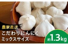 【農家直送！】こだわり にんにく 大小サイズいろいろ  約1.3kg【一ノ瀬農園】ニンニク ガーリック スパイス [IBQ001]