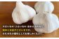 佐賀県白石町よりこだわりにんにくをお届け！