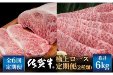 【6回定期便】佐賀牛 極上 ロース 定期便【いろは精肉店】佐賀県産 牛肉 国産 肉 和牛 九州 人気 高評価 九州 佐賀県 白石町 [IAG127]