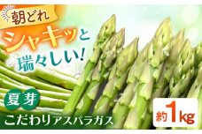 甘くやわらか！こだわり 夏芽 アスパラガス 約1kg【ふぁふぁふぁーむ】あすぱら 野菜 アスパラ [ICS002]