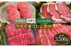 【牧場直送】【全4回】佐賀牛 四季を楽しむ 定期便【佐賀セントラル牧場】佐賀県産 九州 佐賀県 白石町 [IAH177]