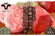 【牧場直送】人気返礼品セット！しろいし牛 手ごねハンバーグ 5個＆赤身ブロック（ローストビーフ用） 500g【佐賀セントラル牧場】佐賀県産 牛肉 お肉 肉 ハンバーグ 赤身 九州 佐賀県 白石町 [IAH180]