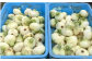 こだわり野菜をお届け！