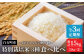 お米3種を贅沢に食べ比べ！