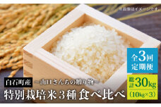 【令和8年1月以降発送】【全3回】特別栽培米 3種 食べ比べ 定期便 各回 10kg～山口さんちの贈り物 ～【y'scompany】佐賀県産 特別栽培米 米 お米 人気 高評価 九州 佐賀県 白石町 [IAS015]