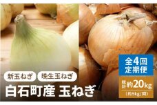 【4月発送開始】【全4回】白石町産 玉ねぎ 約5kg/回（総計約20kg） 定期便【株式会社IMKCorporation】 [IBX011]