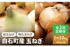 【4月発送開始】【全2回】白石町産 玉ねぎ 約5kg/回（総計約10kg） 定期便【株式会社IMKCorporation】 [IBX010]