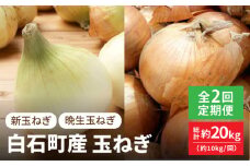 【4月発送開始】【全2回】白石町産 玉ねぎ 約10kg/回（総計約20kg） 定期便【株式会社IMKCorporation】 [IBX012]