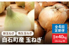 【4月発送開始】【全4回】白石町産 玉ねぎ 約10kg/回（総計約40kg） 定期便【株式会社IMKCorporation】 [IBX013]