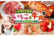 【先行予約】【4回定期便】産地直送！白石町産 いちごと牛肉の定期便 [IZZ019]