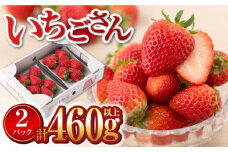 【産地直送】白石産いちご「いちごさん」 約230g×2パック（計460g以上）【道の駅しろいしカンパニー】 [IAA037]
