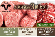 【牧場直送】【6回定期便】人気返礼品詰め合わせ！牛肉100%ふんわりロールステーキ 4個＆白富牛 手ごねハンバーグ 4個＆しろいし牛 切り落とし 1000g【佐賀セントラル牧場】佐賀県産 牛肉 お肉 肉 ステーキ ハンバーグ 切り落とし 九州 佐賀県 白石町 [IAH186]