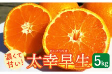 【先行予約】【数量限定！】さっぱりとした甘さの こだわりみかん 太幸早生（たいこうわせ） 約5kg【ひがじま農園】 ミカン 蜜柑 ブランド 佐賀県 白石町産 [ICW002]