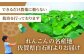 保存しやすい真空パック＆便利な小分け入り！