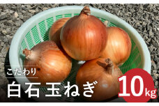 【農家直送！】こだわり 白石玉ねぎ 10kg【れんこんの家やました】晩生 玉葱 タマネギ たまねぎ 九州 佐賀県 白石町 [IAW009] 
