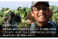 玉葱の名産地「佐賀県白石町」からお届け！