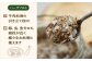 食卓にちょっと贅沢！料理の幅広がる！