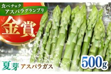 身体にやさしい こだわり 夏芽 アスパラガス 約500g【ひがじま農園】 [ICW004]