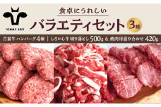 【牧場直送】食卓にうれしいバラエティ セット（白富牛 手ごねハンバーグ 4個＆切り落とし 500g＆焼肉用 420g）【佐賀セントラル牧場】佐賀県産 牛肉 お肉 肉 切り落とし ハンバーグ 焼肉 九州 佐賀県 白石町 [IAH191]