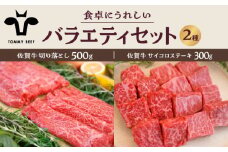 【牧場直送】佐賀牛 食卓にうれしいバラエティ セット（切り落とし 500g＆サイコロステーキ 赤身＆霜降り食べ比べ 300g）【佐賀セントラル牧場】佐賀県産 牛肉 お肉 肉 切り落とし ステーキ 赤身 詰め合わせ 九州 佐賀県 白石町 [IAH201]