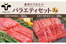 【牧場直送】佐賀牛 食卓にうれしいバラエティ セット（切り落とし 500g＆焼肉用食べ比べ 300g）【佐賀セントラル牧場】佐賀県産 牛肉 お肉 肉 切り落とし 焼肉 食べ比べ 詰め合わせ 九州 佐賀県 白石町 [IAH204]