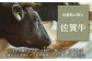 【FARM to TABLE】農場から食卓へ、牧場直送でお届け！