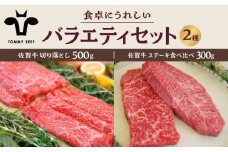 【牧場直送】佐賀牛 食卓にうれしいバラエティ セット （切り落とし 500g＆ステーキ食べ比べ 300g）【佐賀セントラル牧場】佐賀県産 牛肉 お肉 肉 切り落とし ステーキ 食べ比べ 詰め合わせ 九州 佐賀県 白石町 [IAH203]