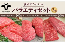 【牧場直送】佐賀牛 食卓にうれしいバラエティ セット（切り落とし 500g＆ハンバーグ 4個＆ステーキ食べ比べ 300g）【佐賀セントラル牧場】佐賀県産 牛肉 お肉 肉 切り落とし ステーキ ハンバーグ 食べ比べ 詰め合わせ 九州 佐賀県 白石町 [IAH207]
