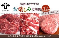 【牧場直送】【12回定期便】しろいし牛 家族向け お楽しみ 定期便（スタンダードコース）【佐賀セントラル牧場】佐賀県産 牛肉 お肉 肉 ハンバーグ 切り落とし 炒め物 贅沢 九州 佐賀県 白石町 [IAH211]