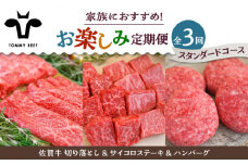 【牧場直送】【3回定期便】佐賀牛 少人数 家族向け お楽しみ 定期便【佐賀セントラル牧場】佐賀県産 牛肉 お肉 肉 切り落とし ステーキ ハンバーグ 食べ比べ 詰め合わせ 九州 佐賀県 白石町 [IAH215]