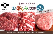 【牧場直送】【3回定期便】しろいし牛 家族向け お楽しみ 定期便（スタンダードコース）【佐賀セントラル牧場】佐賀県産 牛肉 お肉 肉 ハンバーグ 切り落とし 炒め物 贅沢 九州 佐賀県 白石町 [IAH209]