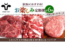 【牧場直送】【6回定期便】しろいし牛 家族向け お楽しみ 定期便（スタンダードコース）【佐賀セントラル牧場】佐賀県産 牛肉 お肉 肉 ハンバーグ 切り落とし 炒め物 贅沢 九州 佐賀県 白石町 [IAH210]