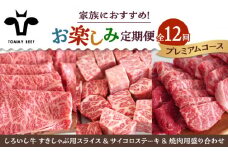 【牧場直送】【12回定期便】しろいし牛 家族向け お楽しみ 定期便（プレミアムコース）【佐賀セントラル牧場】佐賀県産 牛肉 お肉 肉 ハンバーグ 切り落とし 炒め物 贅沢 九州 佐賀県 白石町 [IAH214]