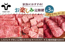 【牧場直送】【3回定期便】しろいし牛 家族向け お楽しみ 定期便（プレミアムコース）【佐賀セントラル牧場】佐賀県産 牛肉 お肉 肉 ハンバーグ 切り落とし 炒め物 贅沢 九州 佐賀県 白石町 [IAH212]