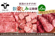 【牧場直送】【6回定期便】しろいし牛 家族向け お楽しみ 定期便（プレミアムコース）【佐賀セントラル牧場】佐賀県産 牛肉 お肉 肉 ハンバーグ 切り落とし 炒め物 贅沢九州 佐賀県 白石町 [IAH213]
