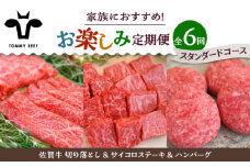 【牧場直送】【6回定期便】佐賀牛 少人数 家族向け お楽しみ 定期便【佐賀セントラル牧場】佐賀県産 牛肉 お肉 肉 切り落とし ステーキ ハンバーグ 食べ比べ 詰め合わせ 九州 佐賀県 白石町 [IAH216]