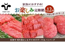 【牧場直送】【12回定期便】佐賀牛 少人数 家族向け お楽しみ 定期便【佐賀セントラル牧場】佐賀県産 牛肉 お肉 肉 切り落とし ステーキ ハンバーグ 食べ比べ 詰め合わせ 九州 佐賀県 白石町 [IAH217]