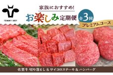 【牧場直送】【3回定期便】佐賀牛 家族向け お楽しみ 定期便【佐賀セントラル牧場】佐賀県産 牛肉 お肉 肉 ハンバーグ 切り落とし ステーキ 九州 佐賀県 白石町 [IAH218]