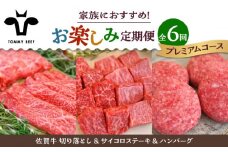 【牧場直送】【6回定期便】佐賀牛 家族向け お楽しみ 定期便【佐賀セントラル牧場】佐賀県産 牛肉 お肉 肉 ハンバーグ 切り落とし ステーキ 九州 佐賀県 白石町 [IAH219]